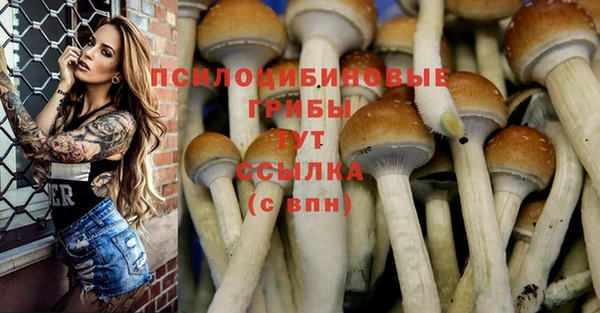 марки nbome Верея