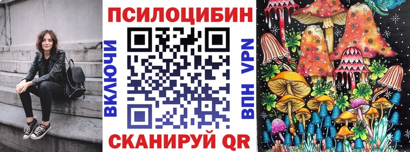 Псилоцибиновые грибы прущие грибы  Вытегра 